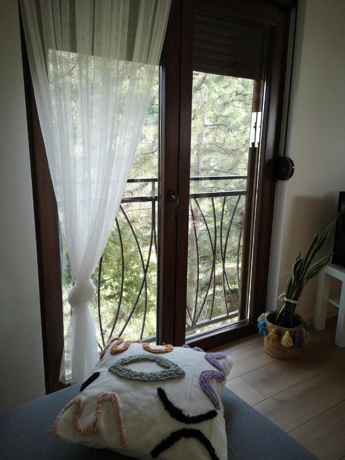 Apartman Snezana Jugovo 斯梅代雷沃 外观 照片